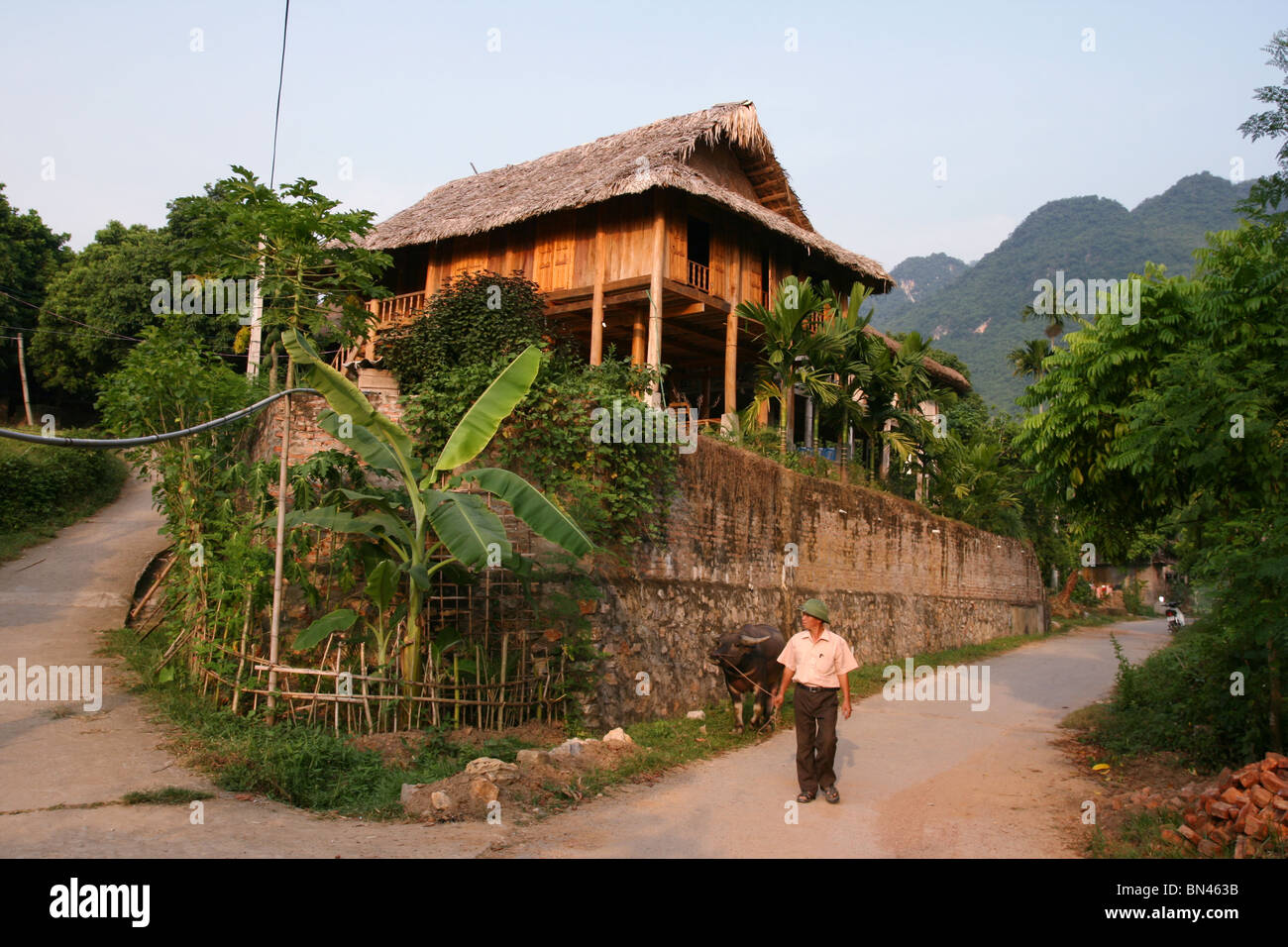 Hölzerne Pfahlhaus im Mai Chau Tal, Vietnam Stockfoto