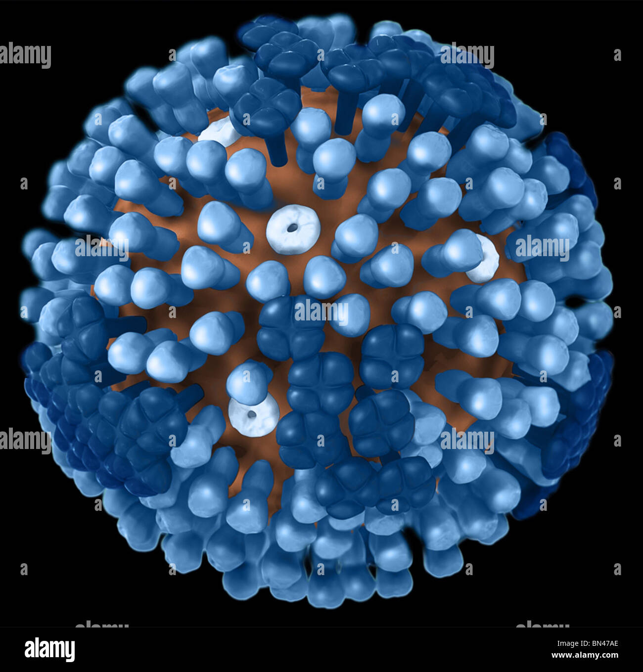 3D graphische Darstellung der eine generische Grippe Virion Ultrastruktur Stockfoto