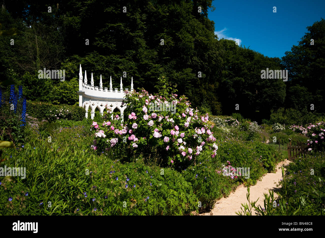 Rosa X centifolia "Muscosa" und die Exedra im Painswick Rokoko Garden in The Cotswolds Stockfoto
