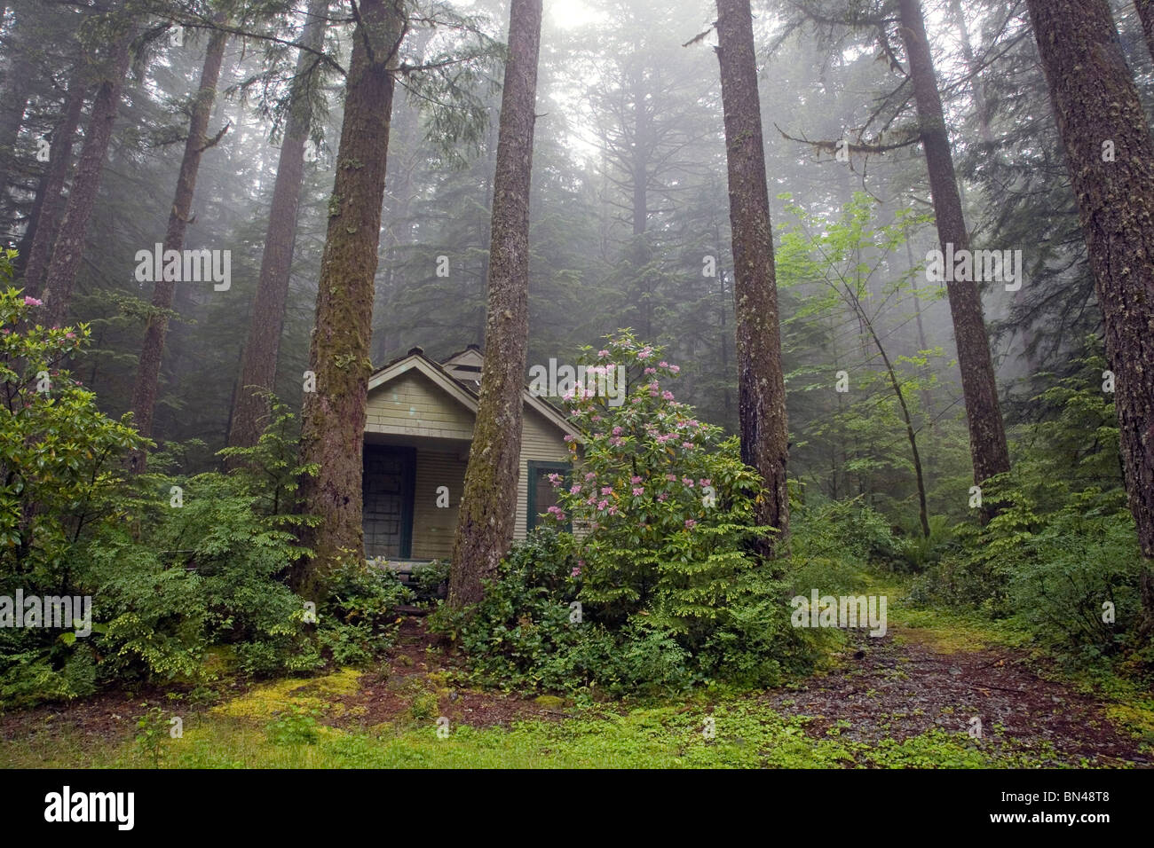 Eine Hütte in einer immergrünen Wald, Oregon Cascades Stockfoto