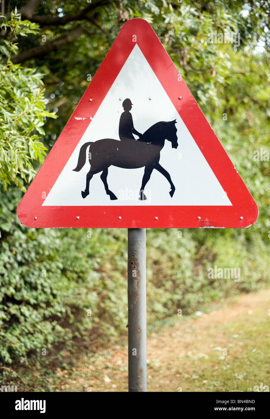 Ein Schild warnt Fahrzeuge gibt es Pferd und Reiter in der Nähe. Foto von Matt Kirwan Stockfoto