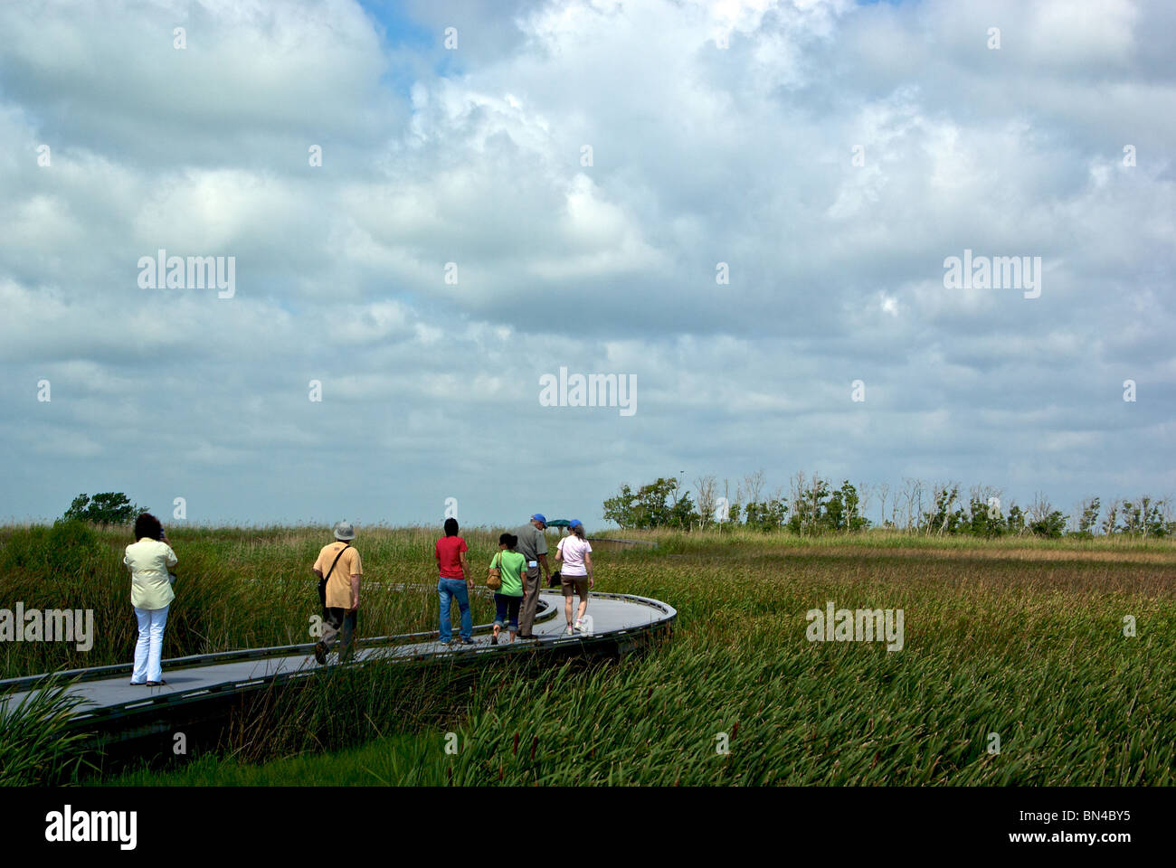 Sabine National Wildlife Refuge Feuchtgebiet Gehweg über Gulf Coast Bayou Marschland Cameron Parish LA Stockfoto