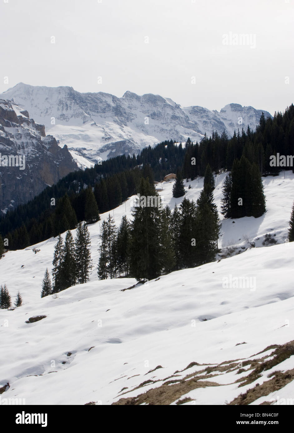 Skigebiet Winteregg Grutschalp, Lauterbrunnen, Zwitserland Stockfoto