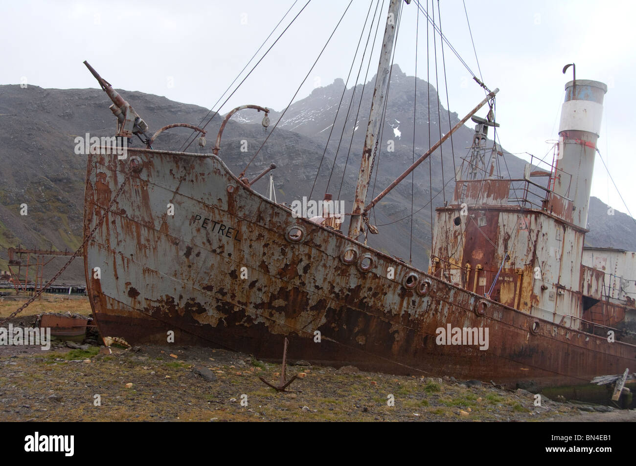 South Georgia Island. Walfangstation Grytviken, König Edward Cove. Alten Whaling Schiff, der Sturmvogel, c. 1928 Stockfoto