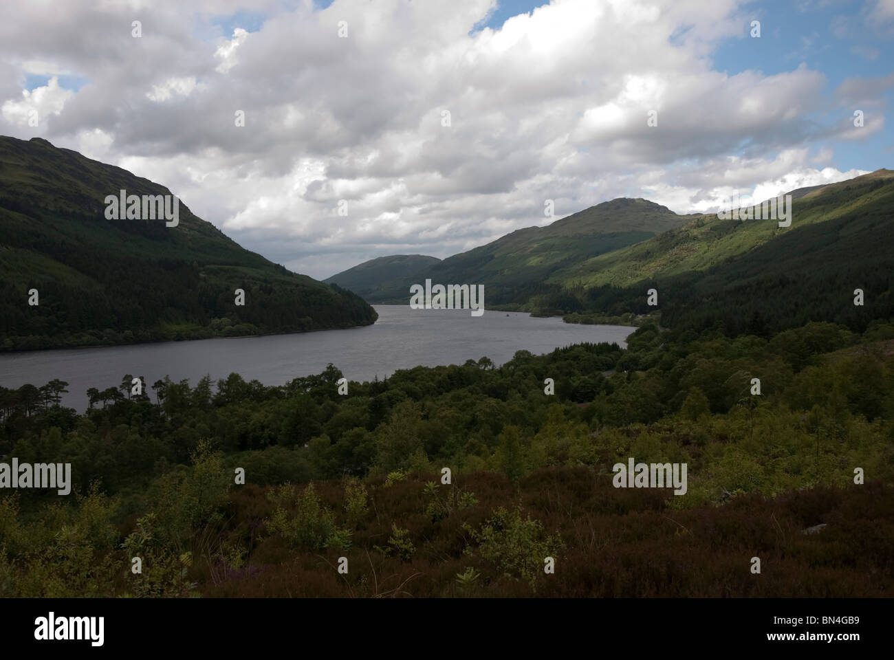 Trübe Loch Eck von oben Whistlefield Argyll Stockfoto