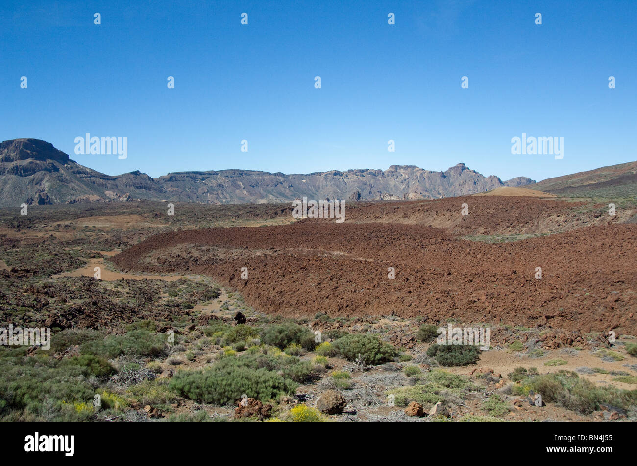 Spanien, Kanarische Inseln, Teneriffa. Nationalpark Las Canadas. Typische vulkanische Lavalandschaft. Stockfoto