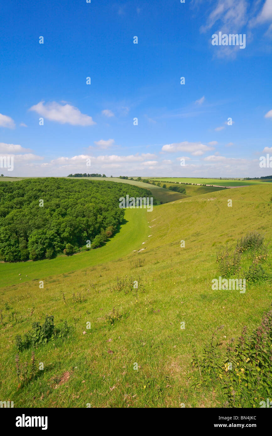 Dale West Yorkshire Wolds in unterwegs Fridaythorpe, East Riding von Yorkshire, England, Vereinigtes Königreich. Stockfoto