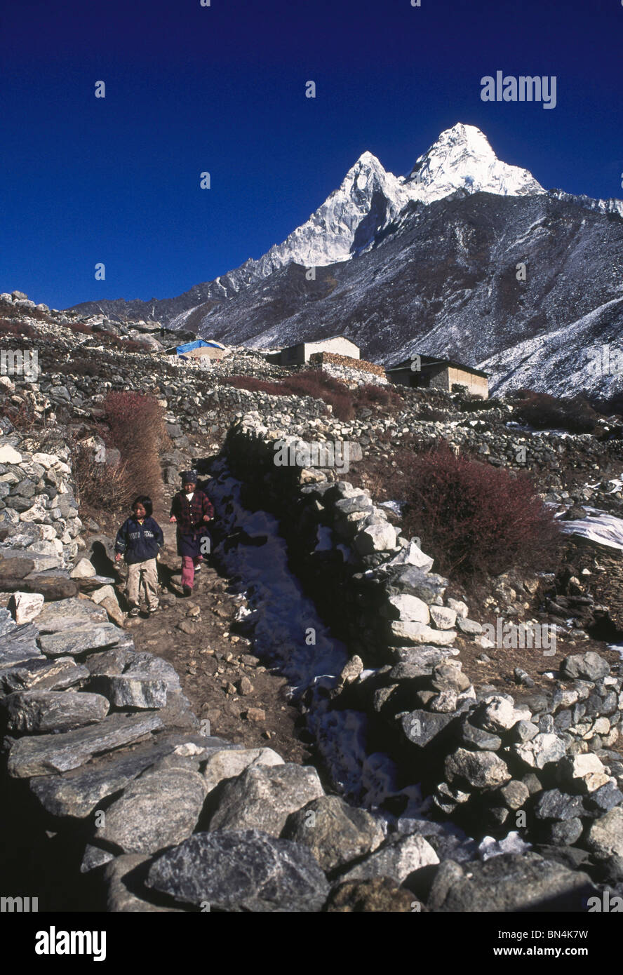 Dorfbewohner Trecke zwischen Trekking und Shomare mit dem Hintergrund des Ama Dablam Peak; Khumbu-Tal; Everest-Region; Nepal Stockfoto