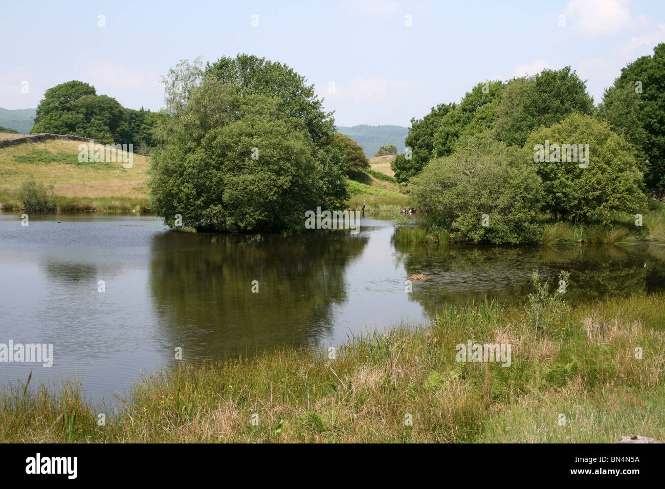 Weißer Moos Tarn genommen In Rußland Tal, Cumbria, UK Stockfoto