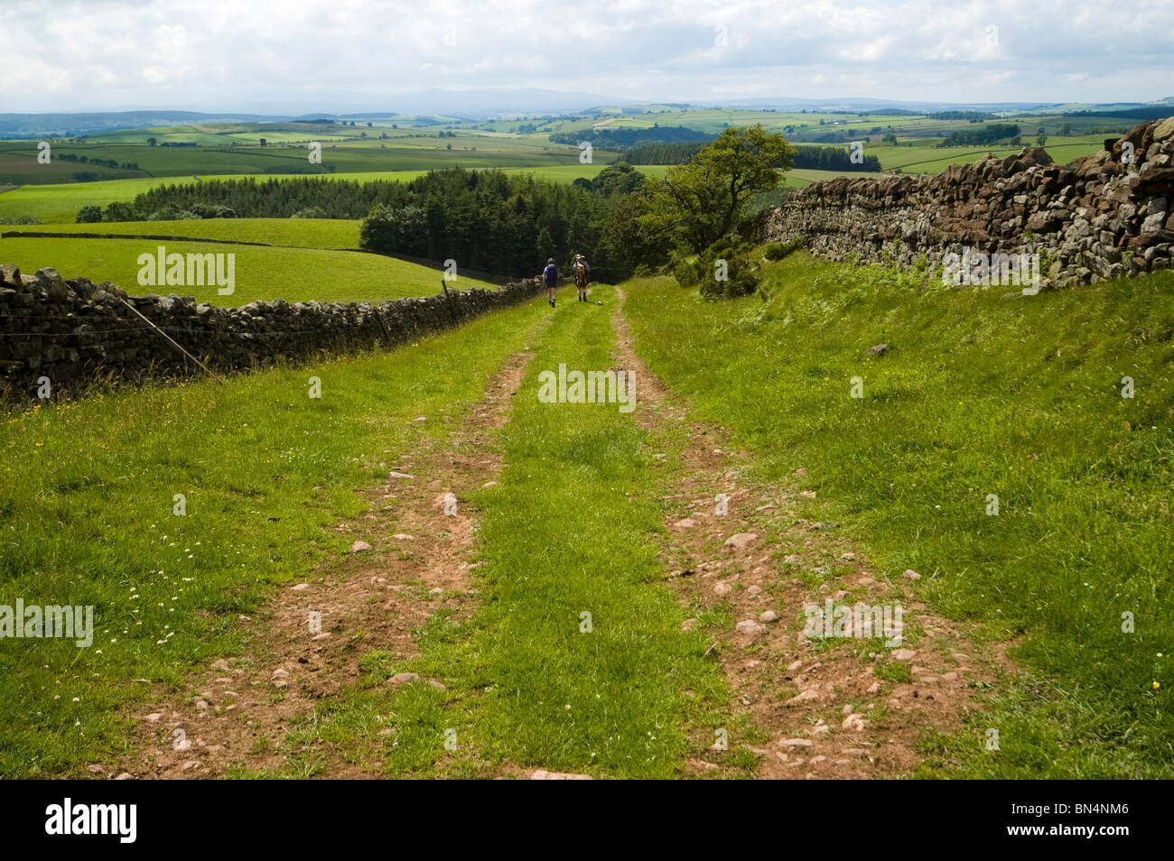 Wanderer auf einem Green Lane in das Eden-Tal in der Nähe von Penrith, Cumbria, England, UK Stockfoto