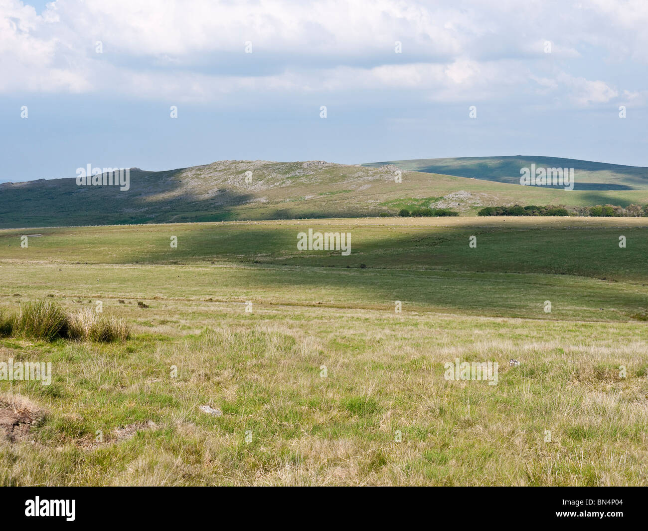 Blick auf gemeinsame Belstone und Cosdon Hill Dartmoor NP Devon UK Stockfoto