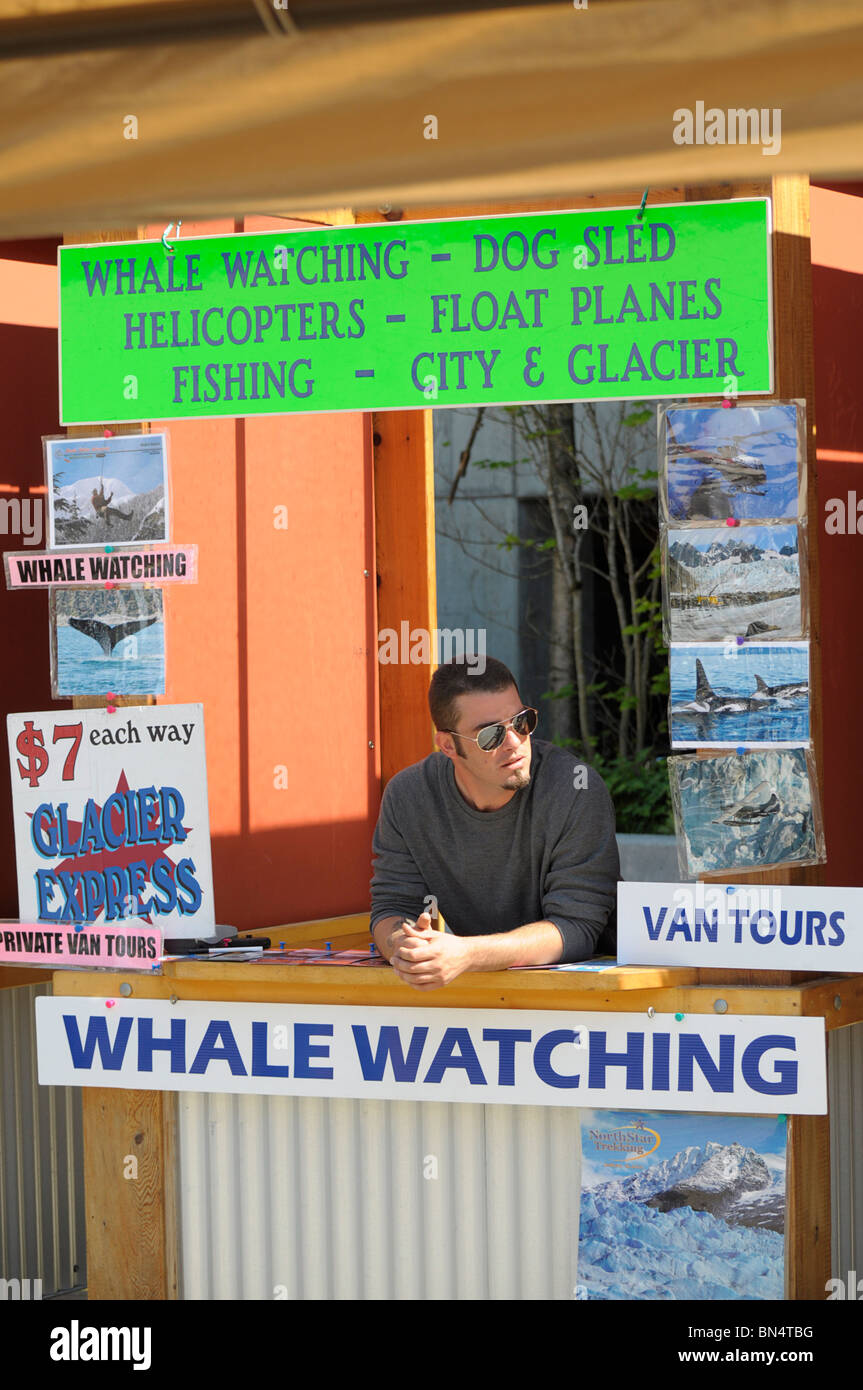Whale Watching Touren Vertrieb, Kiosk/Stand. Stockfoto