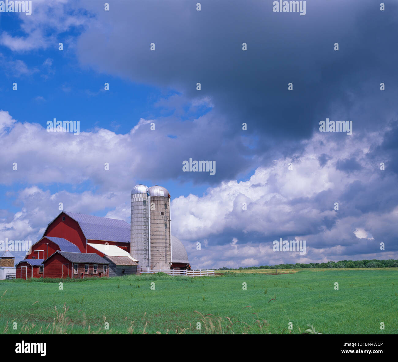 Clark County, WI Sommerwolken Bauernhof mit Silos, rote Scheune und grünen Feldern Stockfoto