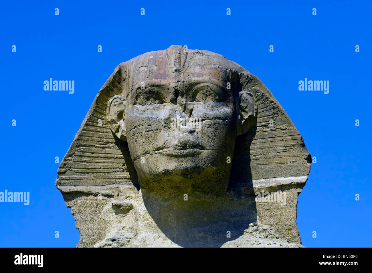 Porträt von die große Sphinx von Gizeh in Ägypten Stockfoto