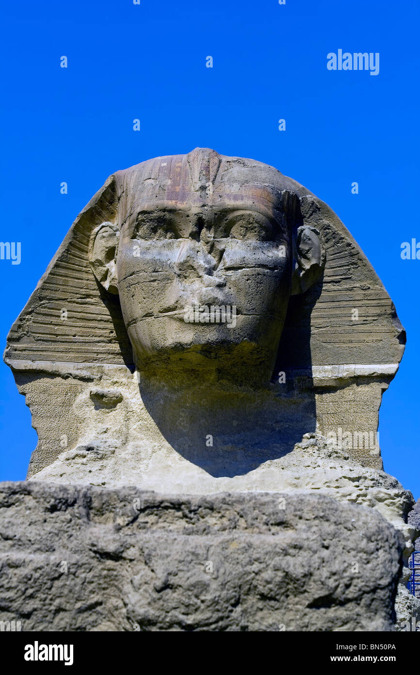 Porträt von die große Sphinx von Gizeh in Ägypten Stockfoto