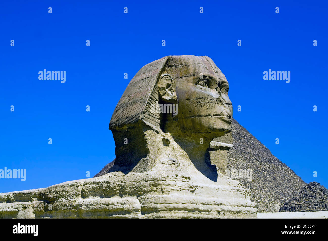 Porträt von die große Sphinx von Gizeh in Ägypten Stockfoto