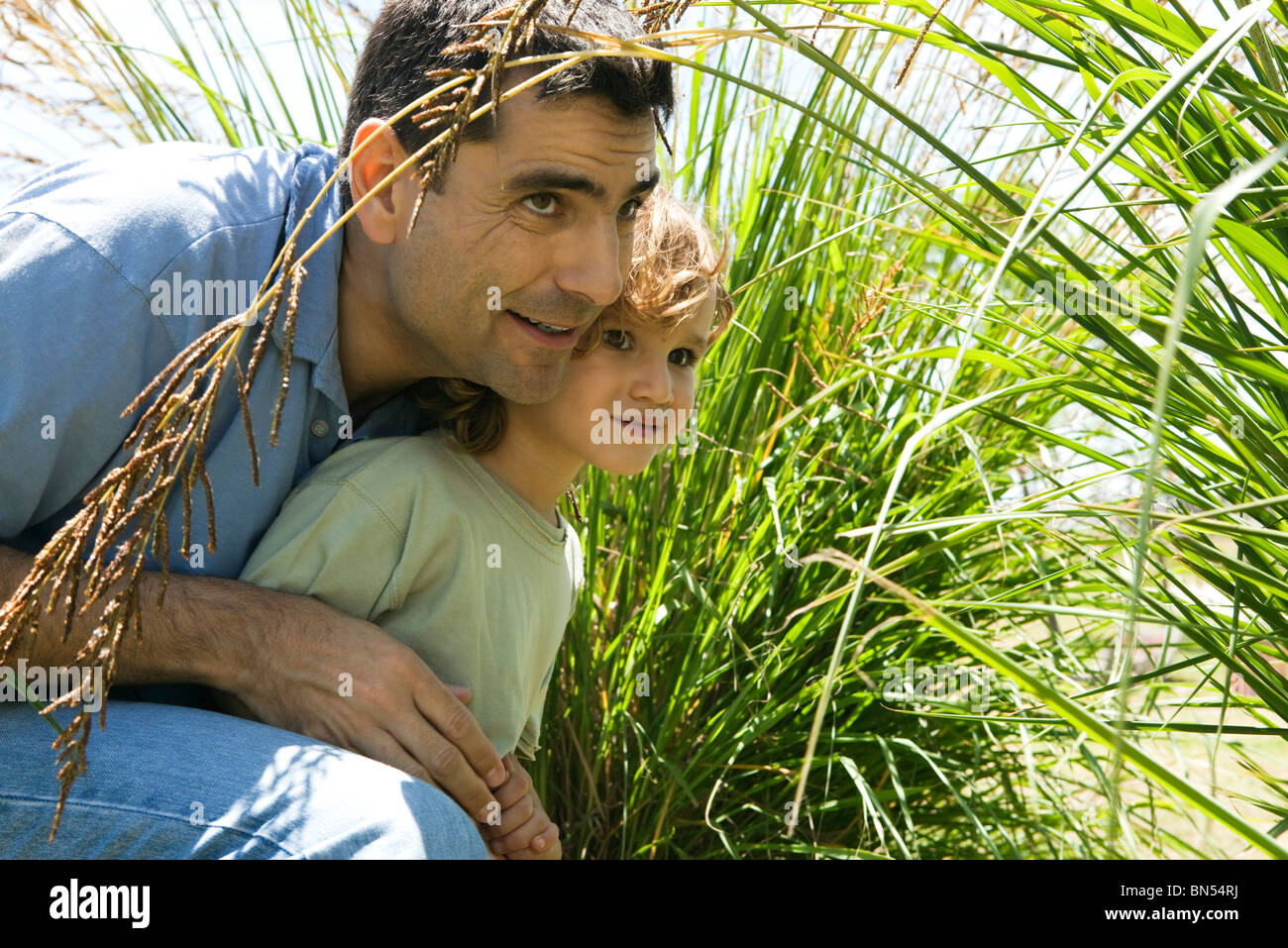 Vater und Sohn versteckt in hohe Gräser Stockfoto