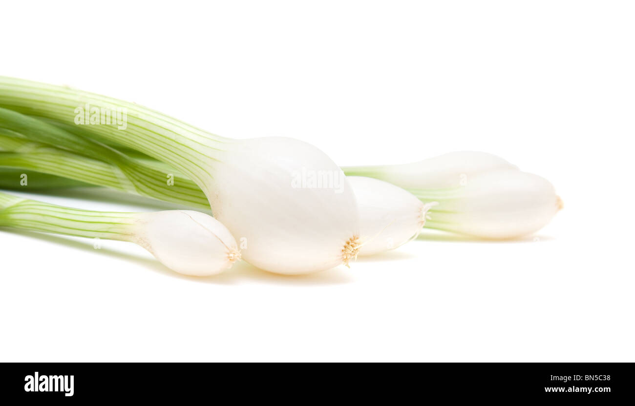 Frühlingszwiebeln auf weißem Hintergrund; Stockfoto