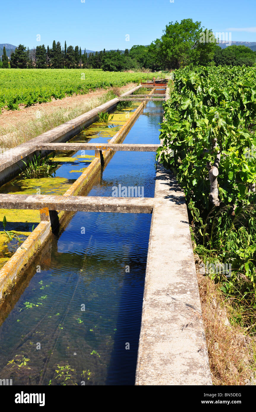 Bewässerung-Kanal in einem Weingut in der Provence Stockfoto