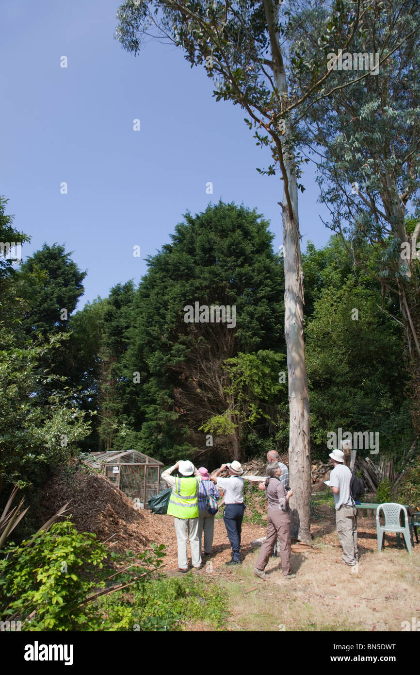 Gruppe von Menschen-Vogelbeobachtung in Cornwall Garten Stockfoto