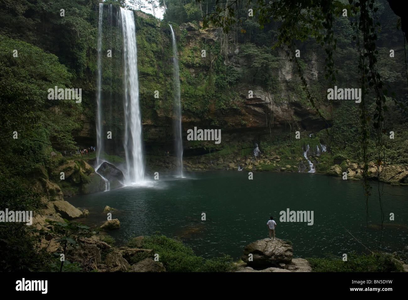 Der Wasserfall Misol Ha Salto de Agua, Chiapas, Mexiko. Stockfoto