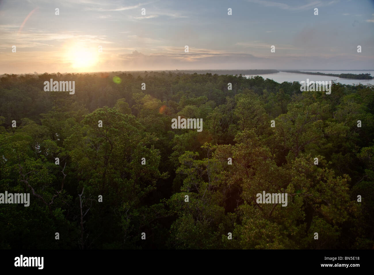 Mangroven-Inseln in zehn tausend Inseln State Park, Florida. Stockfoto