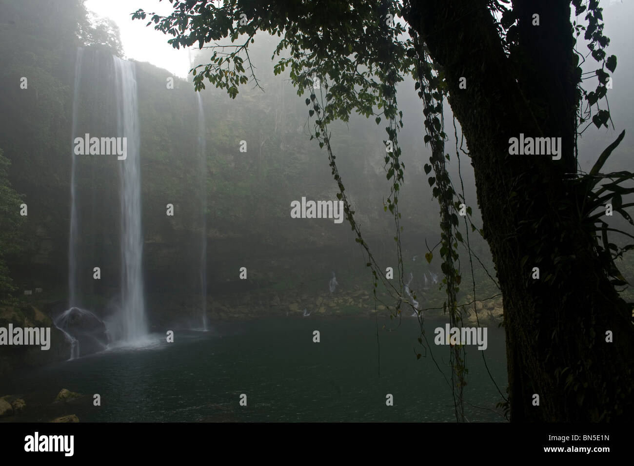 Der Wasserfall Misol Ha Salto de Agua, Chiapas, Mexiko. Stockfoto