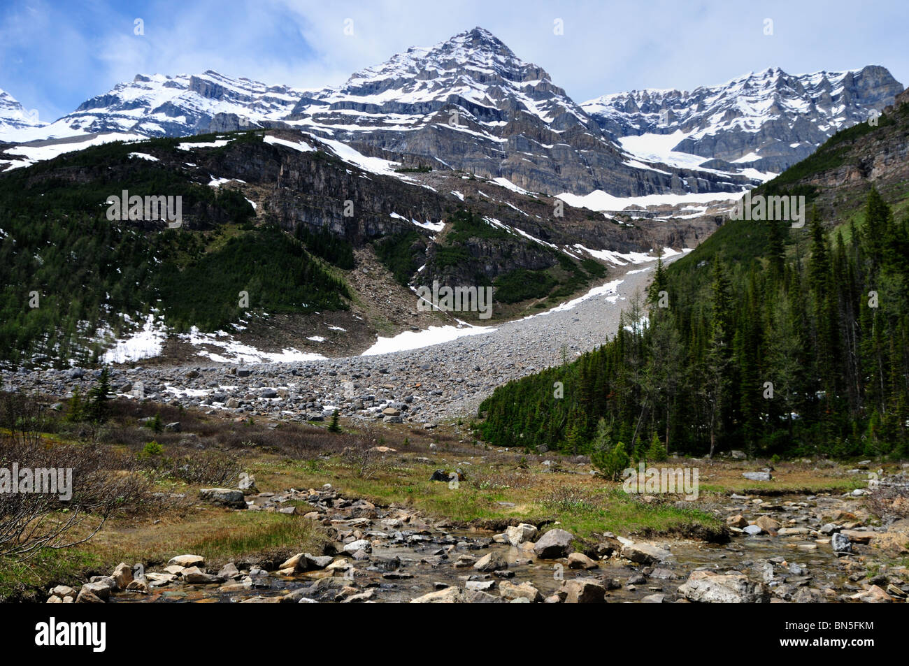 In der Nähe von Plain von sechs Gletscher, Berge und Gletscher-Ablagerungen. Banff Nationalpark, Alberta, Kanada. Stockfoto