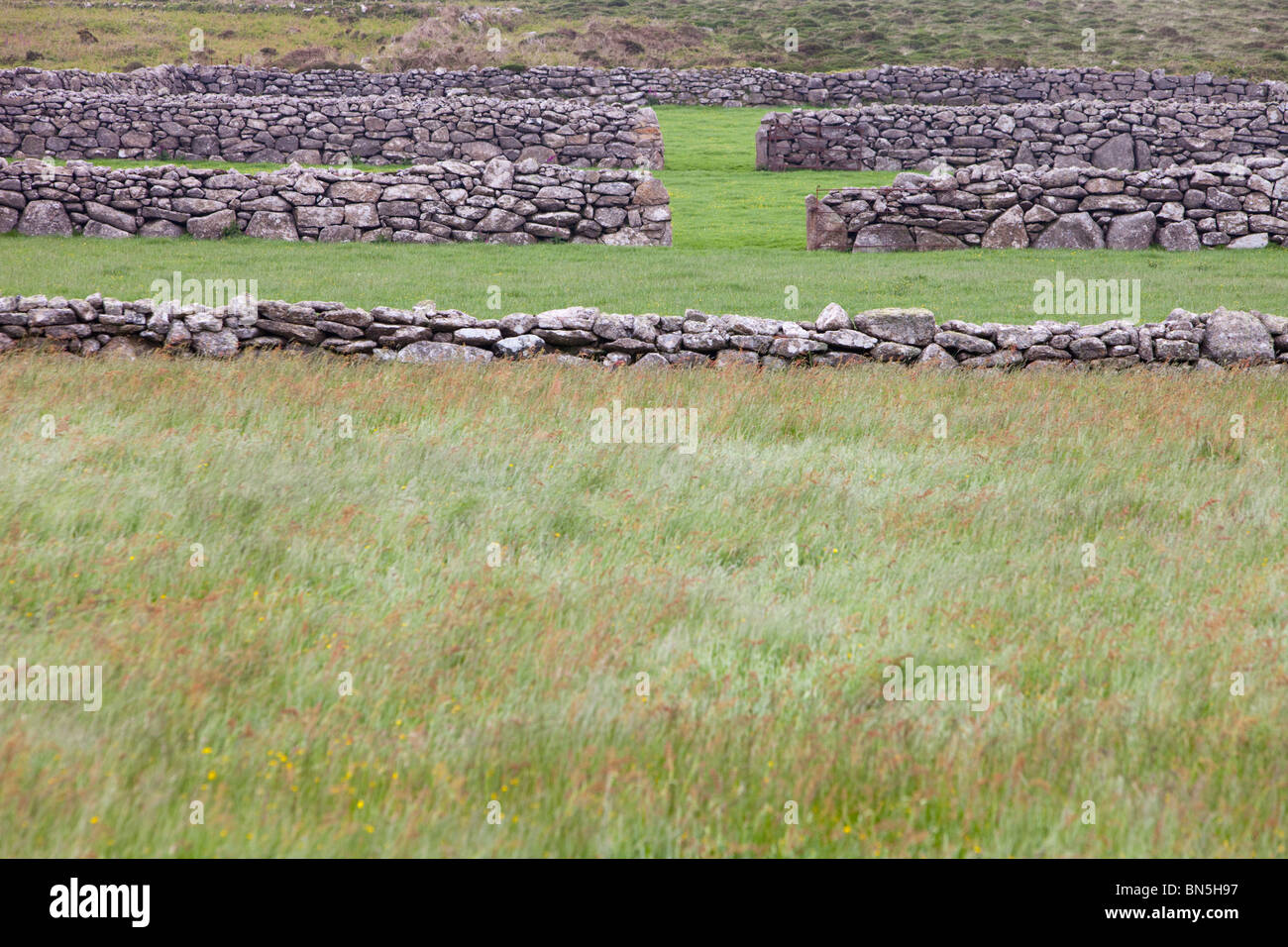 Trockenmauer in Cornwall, in der Nähe von Zennor, UK. Stockfoto