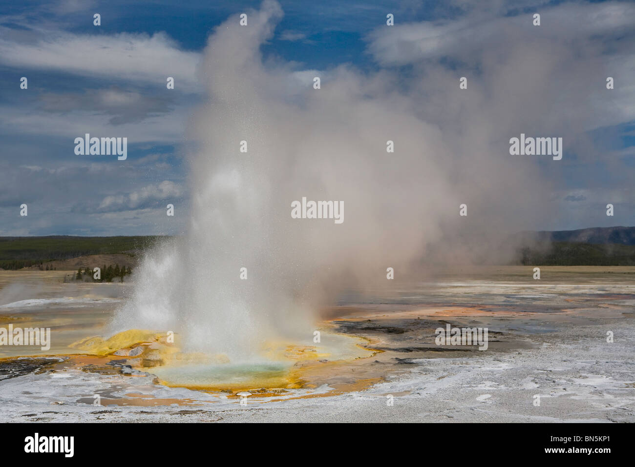 Krampf Geysir, Lower Geyser Basin, Yellowstone-Nationalpark, Wyoming, USA Stockfoto