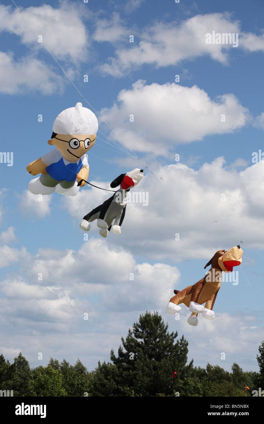 Eine Auswahl von Drachen gesehen an den Internationalen Freundschaft Festival, Washington, Sunderland, England, Großbritannien Stockfoto