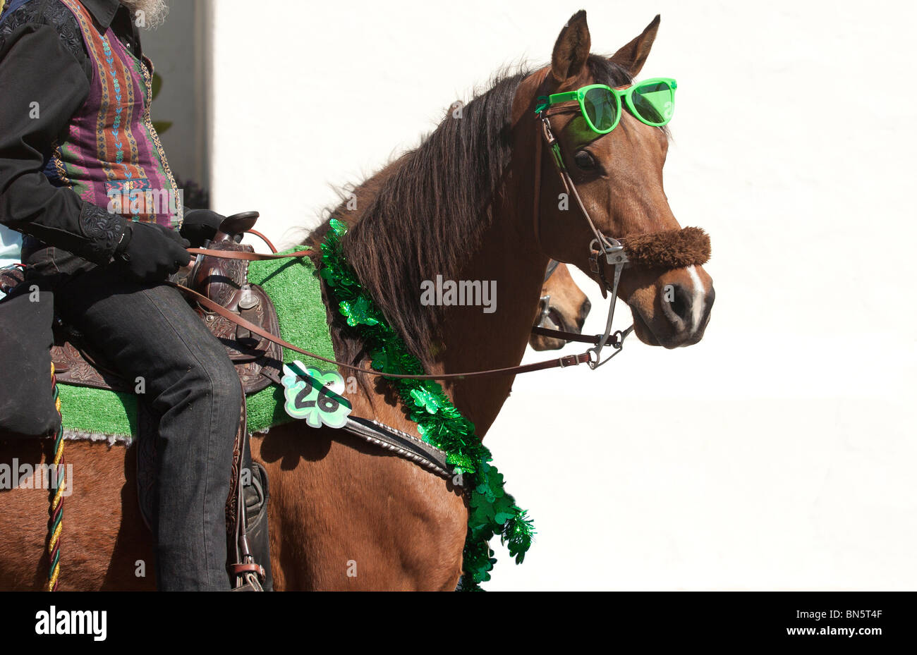 Parade-Pferd mit Sonnenbrille Stockfotografie - Alamy