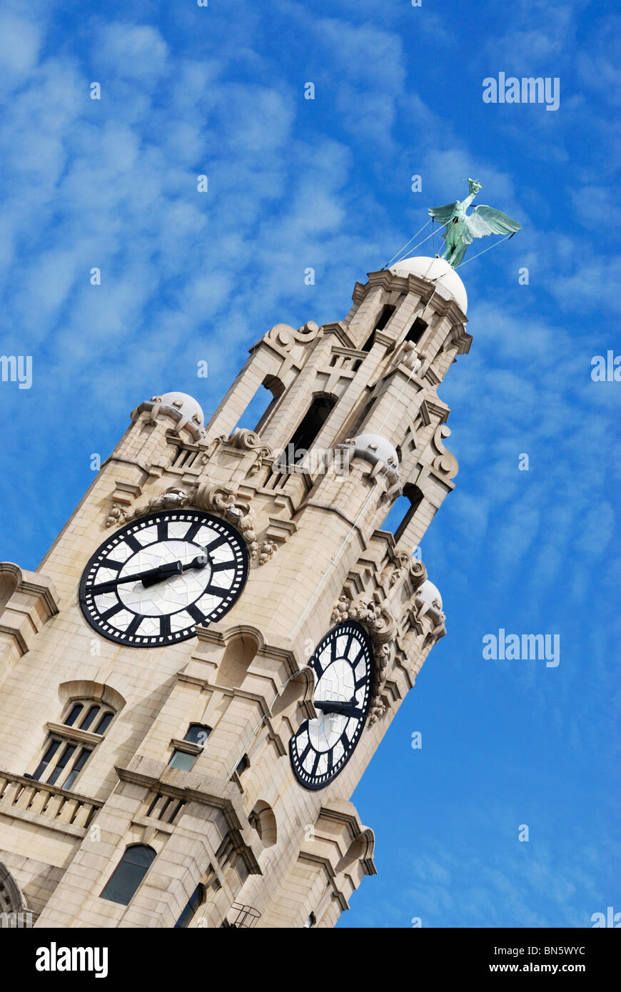 Liverbird auf der Royal Liver Assurance Building befindet sich am Pier Head in Liverpool - Kulturhauptstadt Europas 2008 Stockfoto