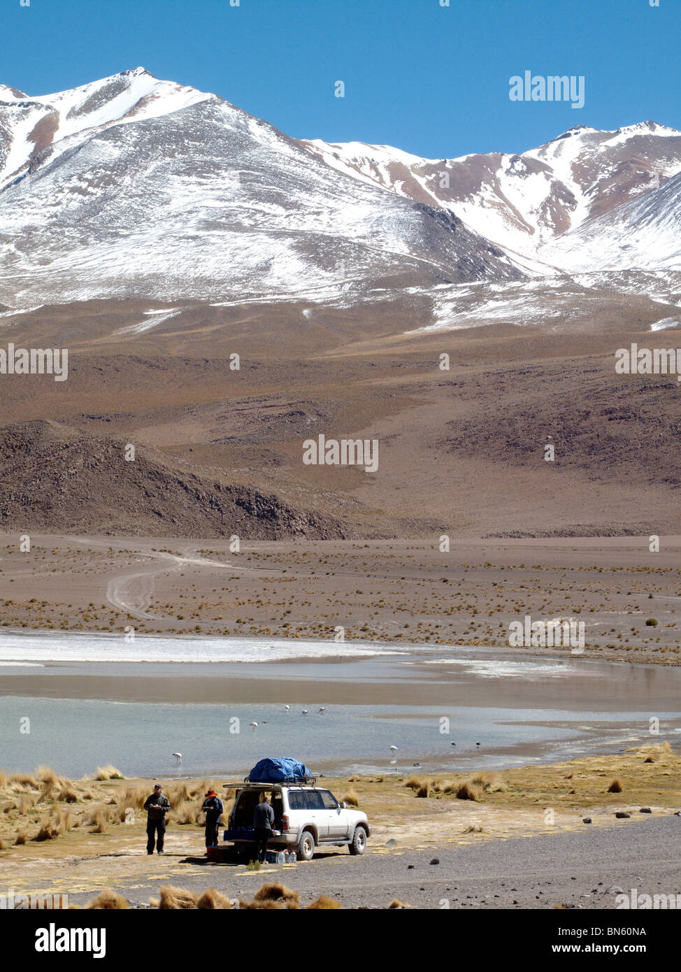 Ein 4WD Toyota Landcruiser Jeep durchquert die Wüste südlichen Altiplano in Bolivien Stockfoto