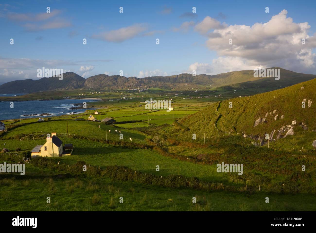 Dramatische Küstenlandschaft bei Sonnenuntergang, Beara Halbinsel, Co. Cork & Co. Kerry, Irland beleuchtet Stockfoto