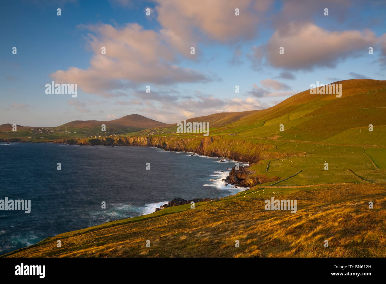 Blick Richtung Clougher Kopf, Halbinsel Dingle, County Kerry, Munster, Irland Stockfoto