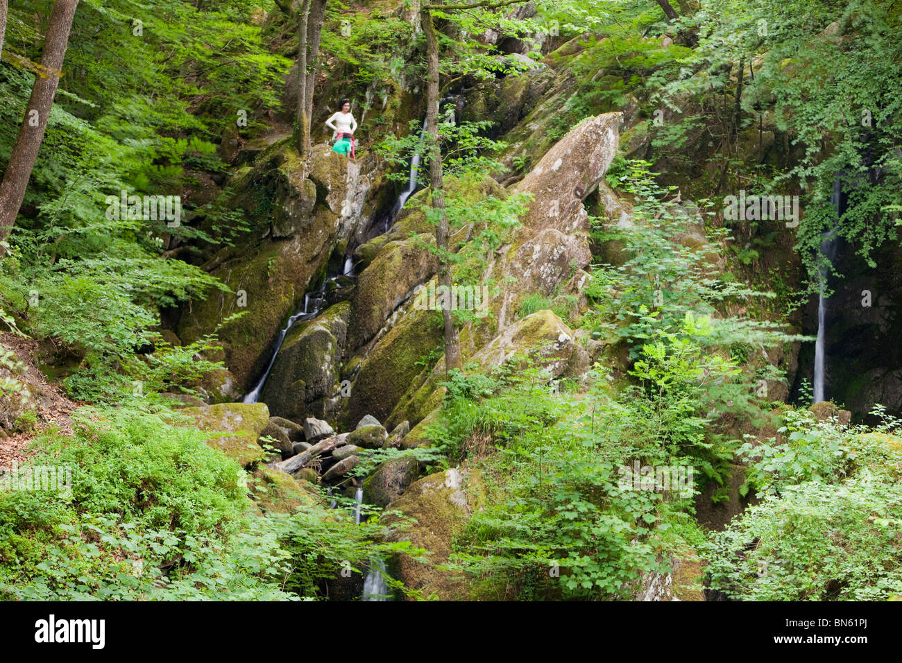 Während der Sommer 2010 Dürre, kommen nur 7 Monate nach den schlimmsten Überschwemmungen, Cumbria schlagen Ghyll Wasserfall in Ambleside auf Lager Stockfoto