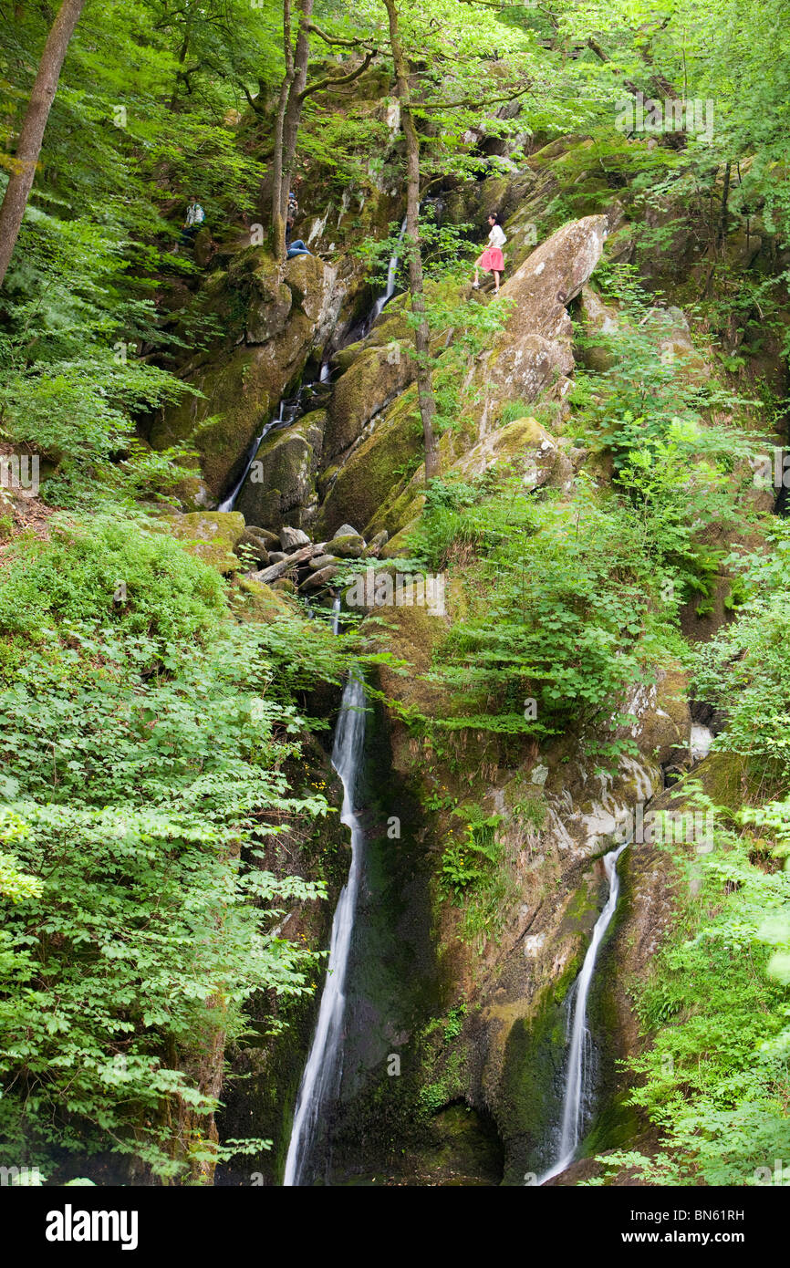 Während der Sommer 2010 Dürre, kommen nur 7 Monate nach den schlimmsten Überschwemmungen, Cumbria schlagen Ghyll Wasserfall in Ambleside auf Lager Stockfoto