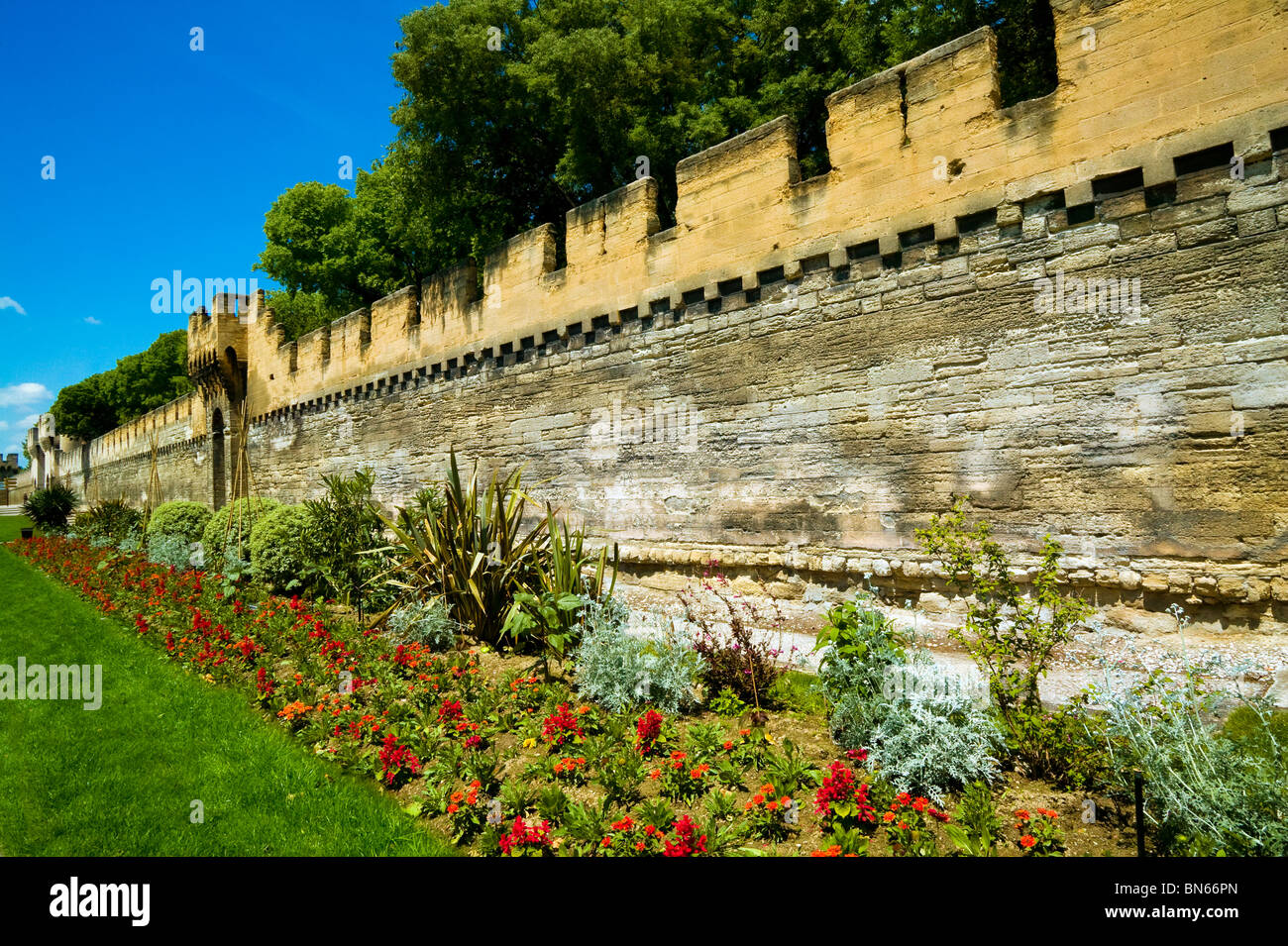 AVIGNON, WÄLLE, VAUCLUSE, PACA, FRANKREICH Stockfoto