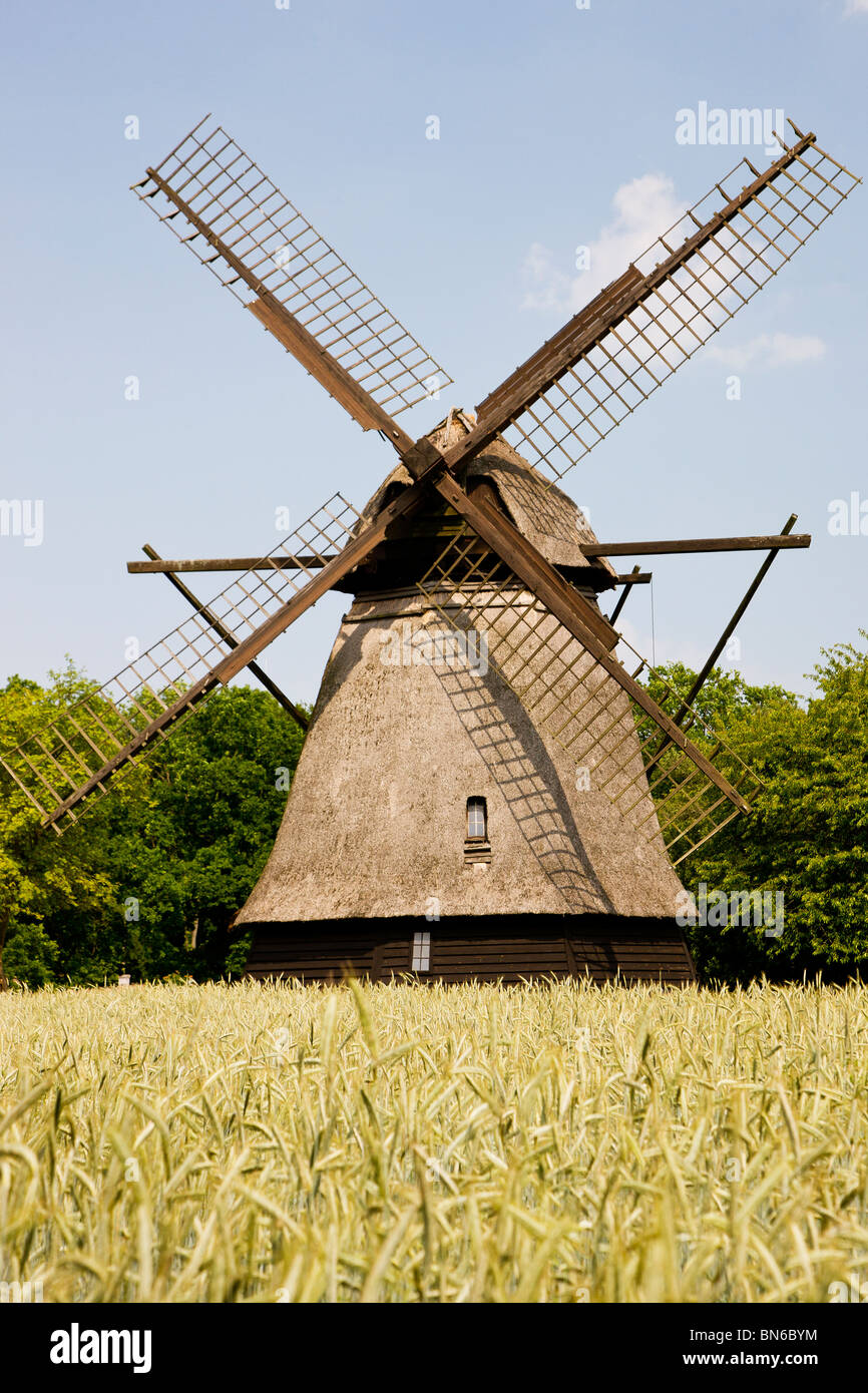 Die alte reetgedeckte Windmühle im Fünen Village Stockfoto