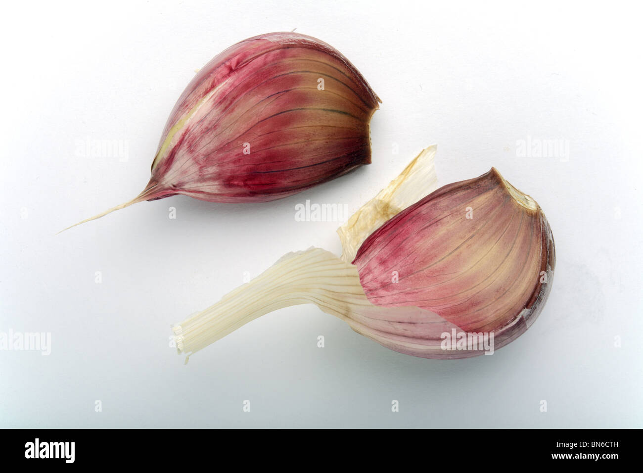 Zwei Knoblauchzehen. Stockfoto