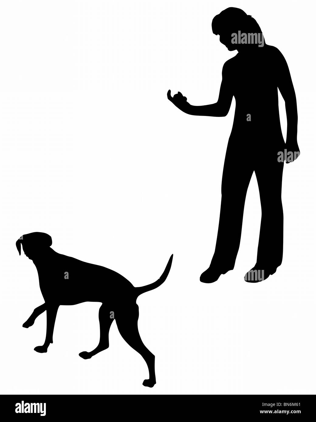 Hundeausbildung (Gehorsam): Befehl: kommen! Stockfoto