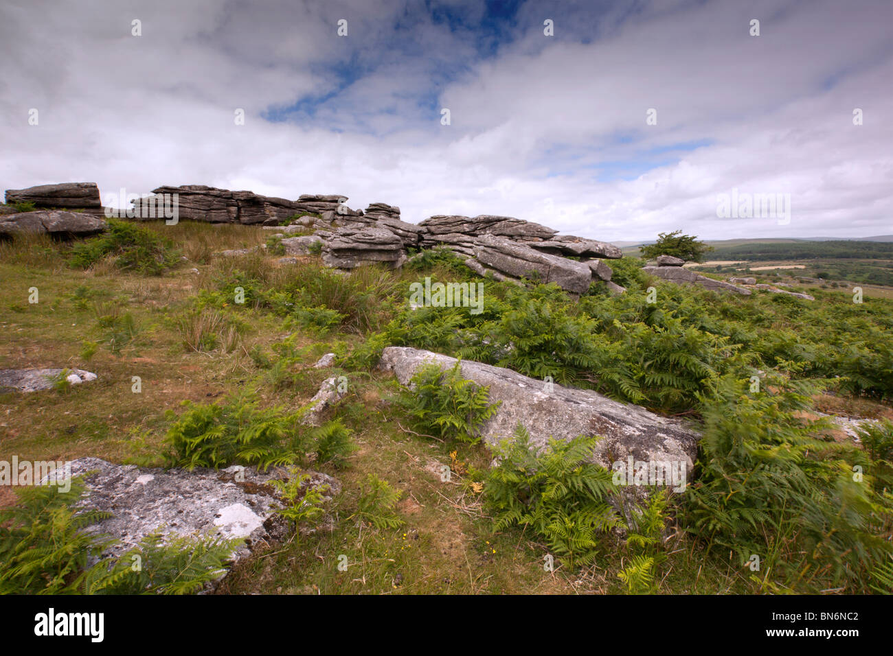 Combestone Tor Dartmoor Devon Stockfoto