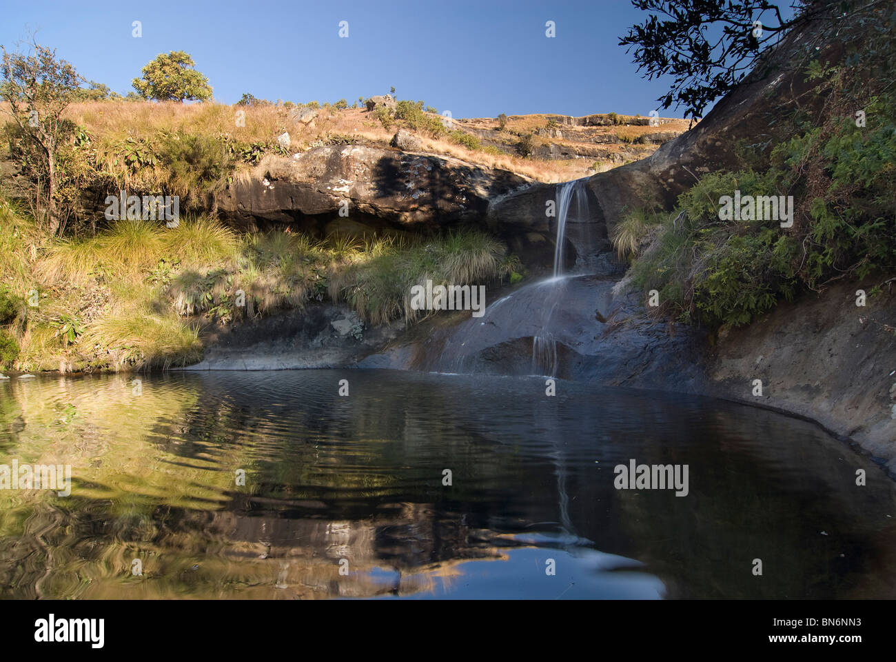 Low Angle kleiner Wasserfall mit Pool von Wasser an der Basis und der Reflexion von Felswand im Pool. UKhahlamba Drakensberg National Park Injasuthi Abschnitt Stockfoto