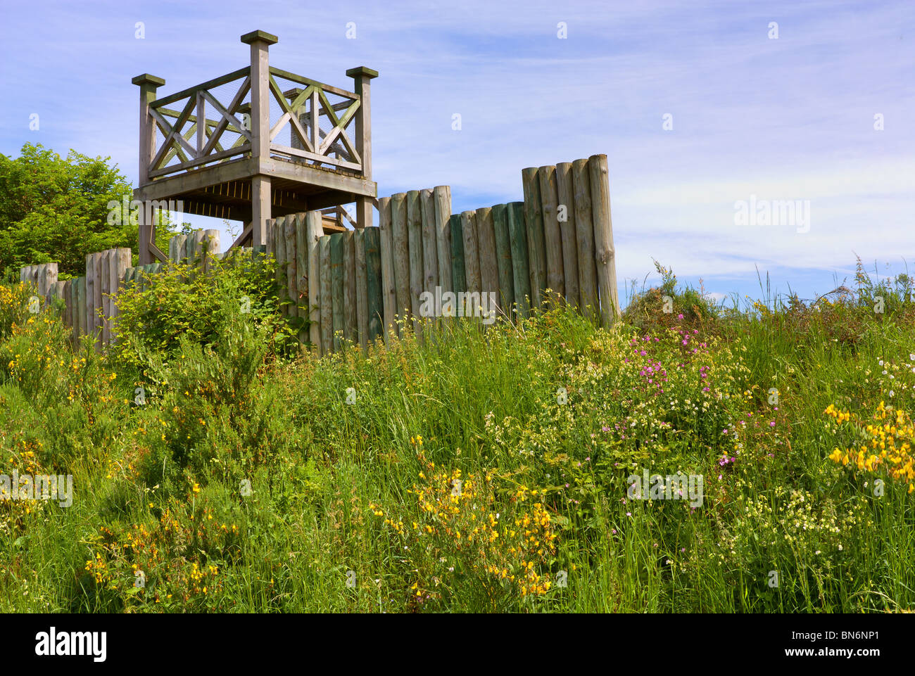 Hölzerne Aussichtsturm am Leaderfoot Viadukt über den Fluss Tweed in den Scottish Borders. Stockfoto