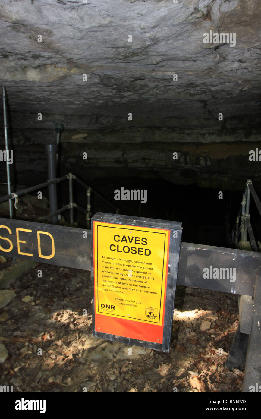 Wyandotte Höhlen geschlossen Schild zum Schutz der Fledermäuse aus weißen Nase Syndrom Pilzerkrankung Indiana Stockfoto