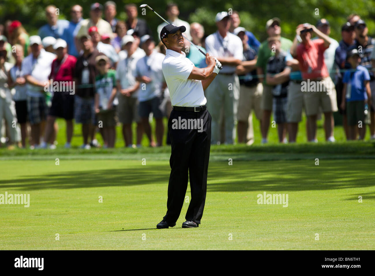 Tiger Woods auf der 2010-AT&T-nationaler Wettbewerb Stockfoto