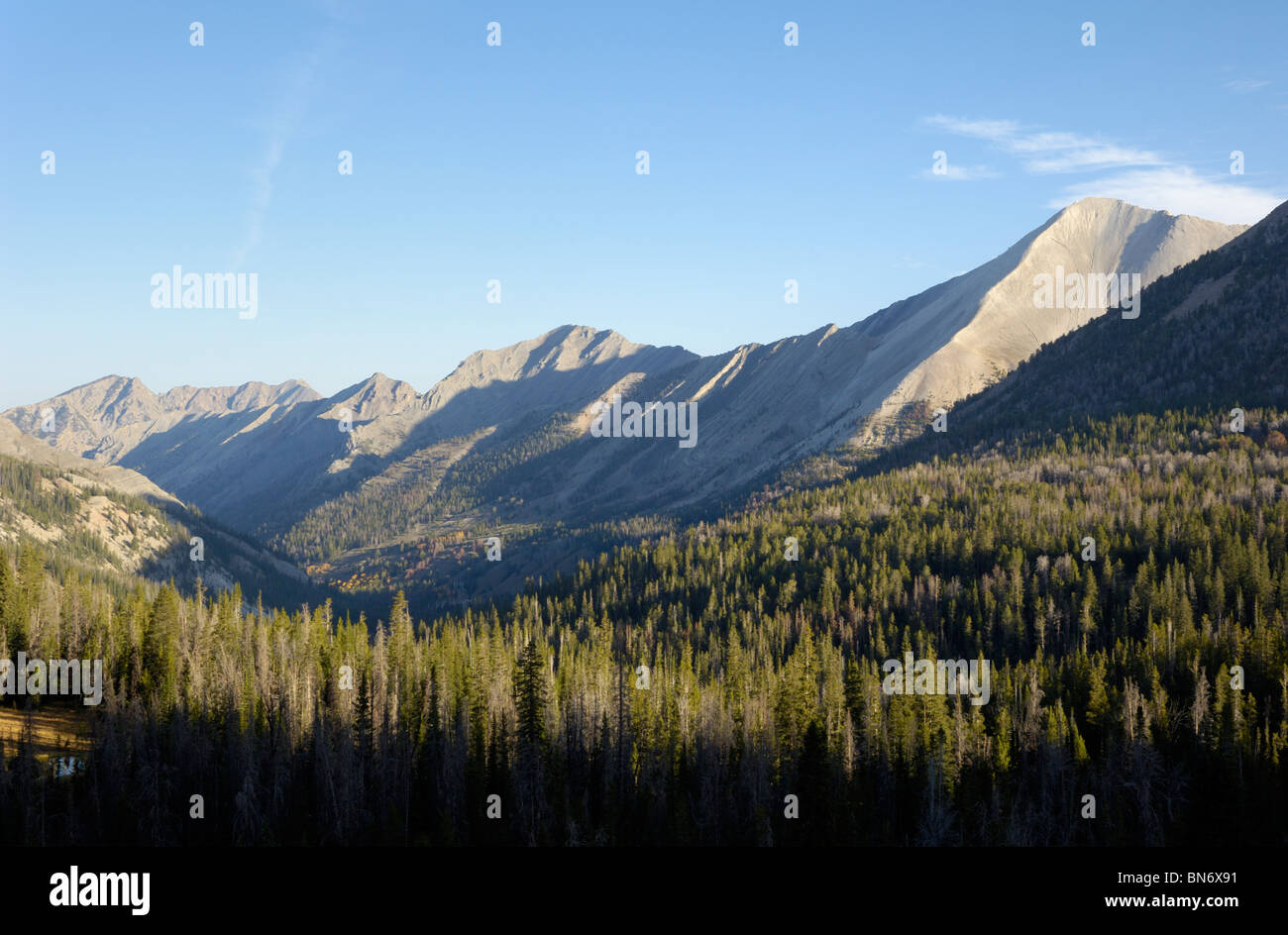 Ameisen-Becken, White Cloud Gebirge, Rocky Mountains, Idaho, USA Stockfoto