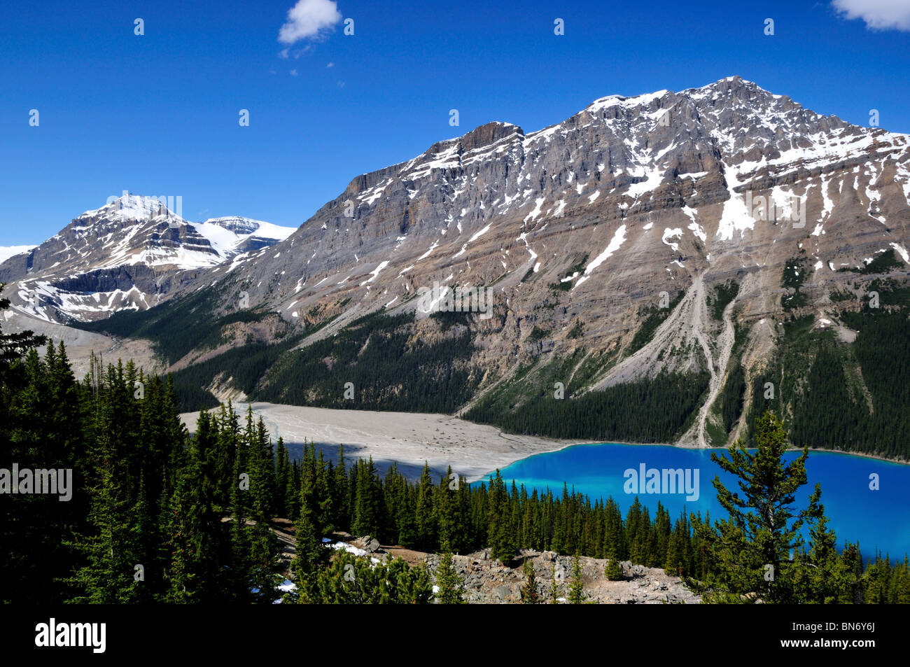 Peyto Lake. Banff Nationalpark, Alberta, Kanada. Stockfoto