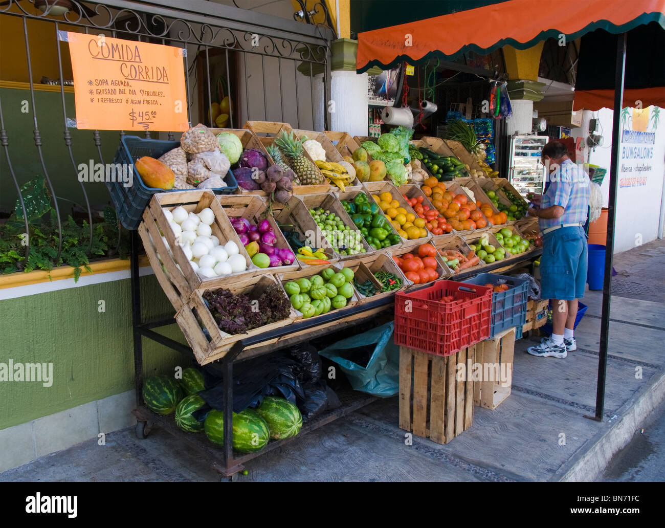 Mann eine außen Stall ein Lebensmittelgeschäft in Rincon de Guayabitos, Bundesstaat Nayarit, Mexiko Limetten auswählen. Stockfoto